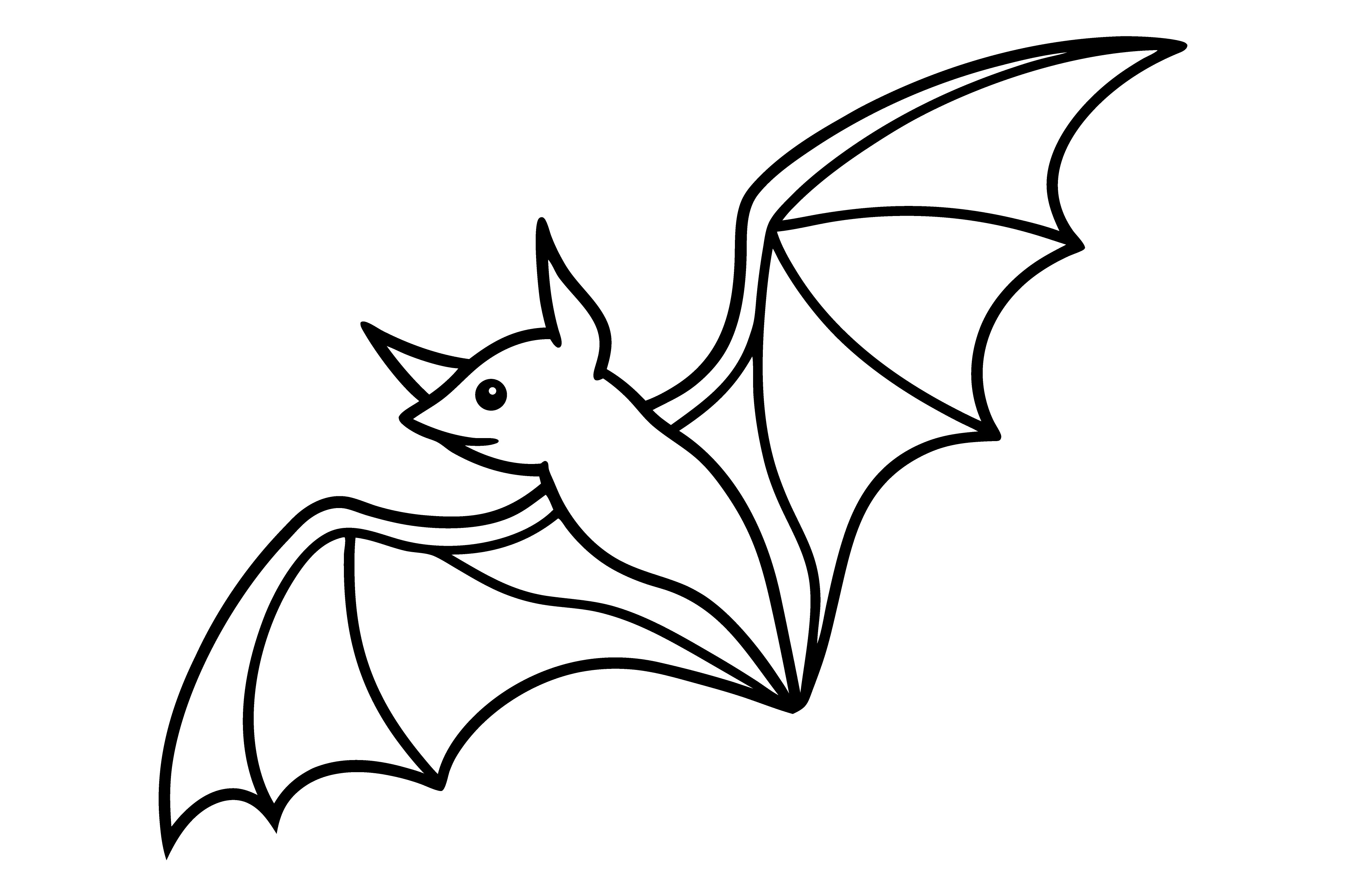 Single Line Bat Illustration Vector Graphic by A.H POD Designer ...