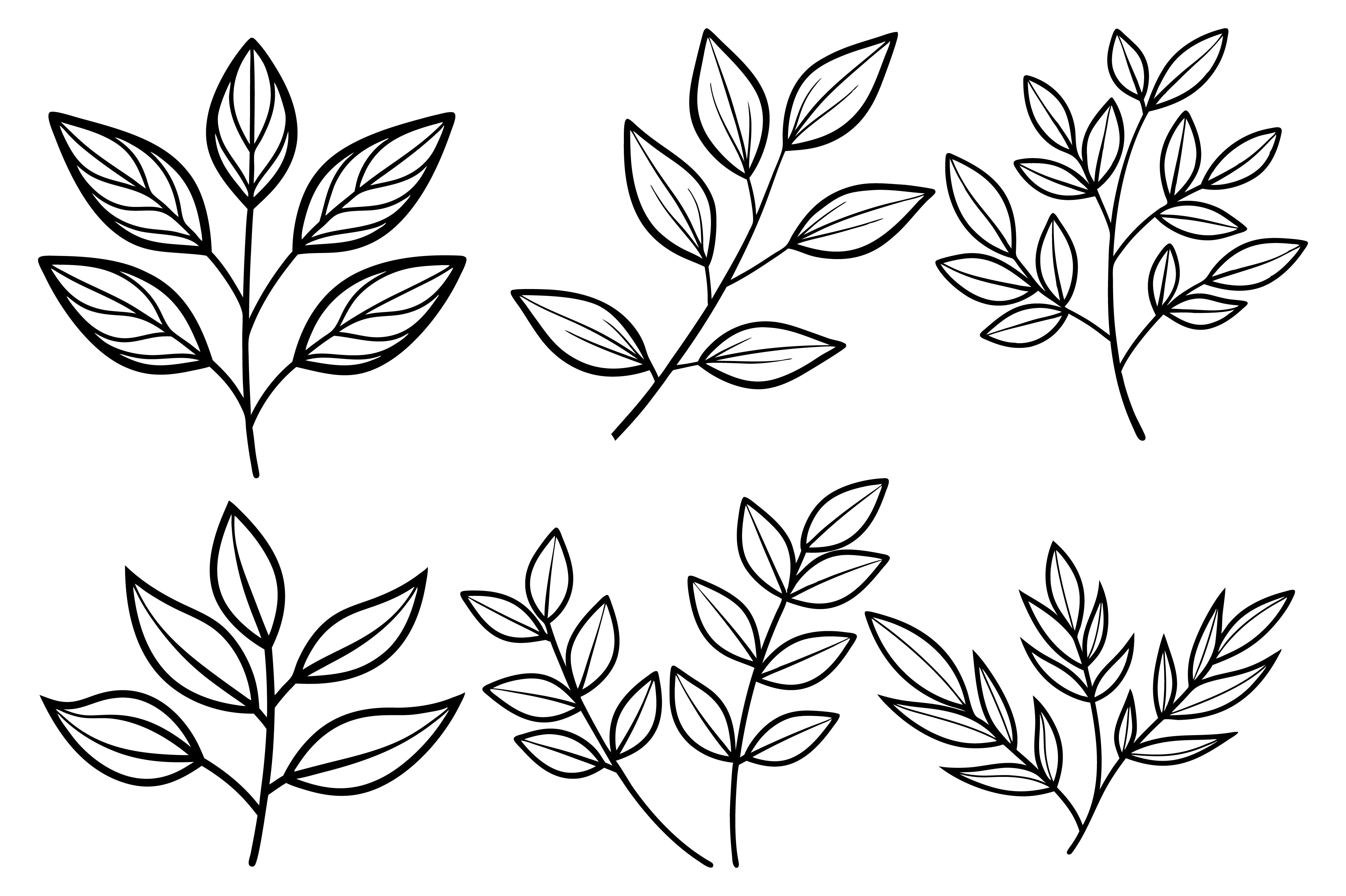 Minimalist Botanical Line Drawing