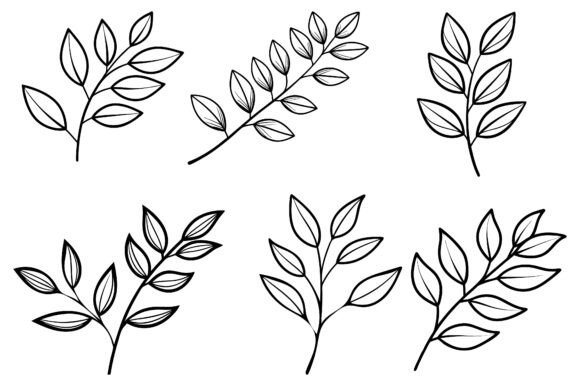 Minimalist Botanical Line Drawing