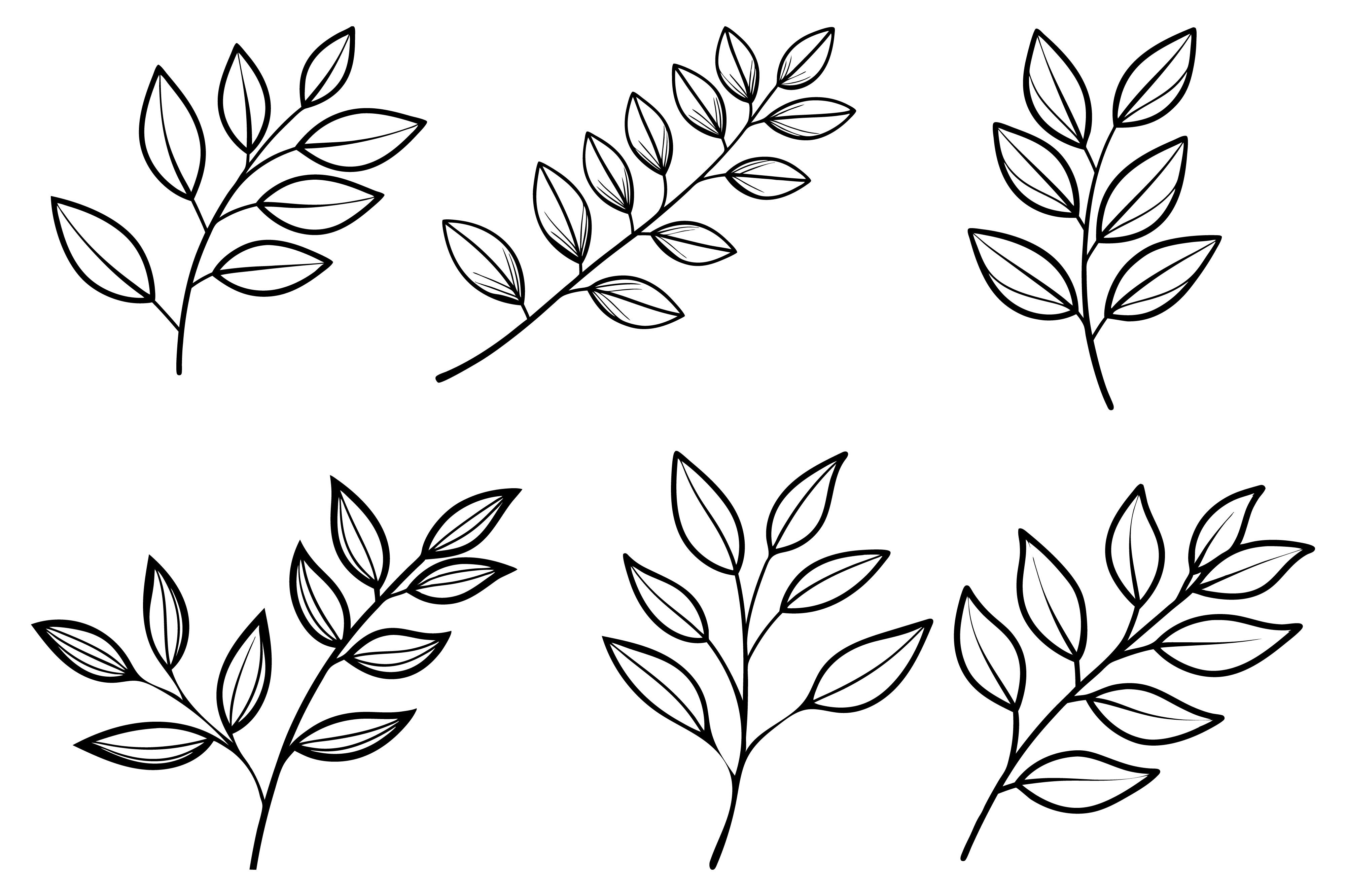 Minimalist Botanical Line Drawing