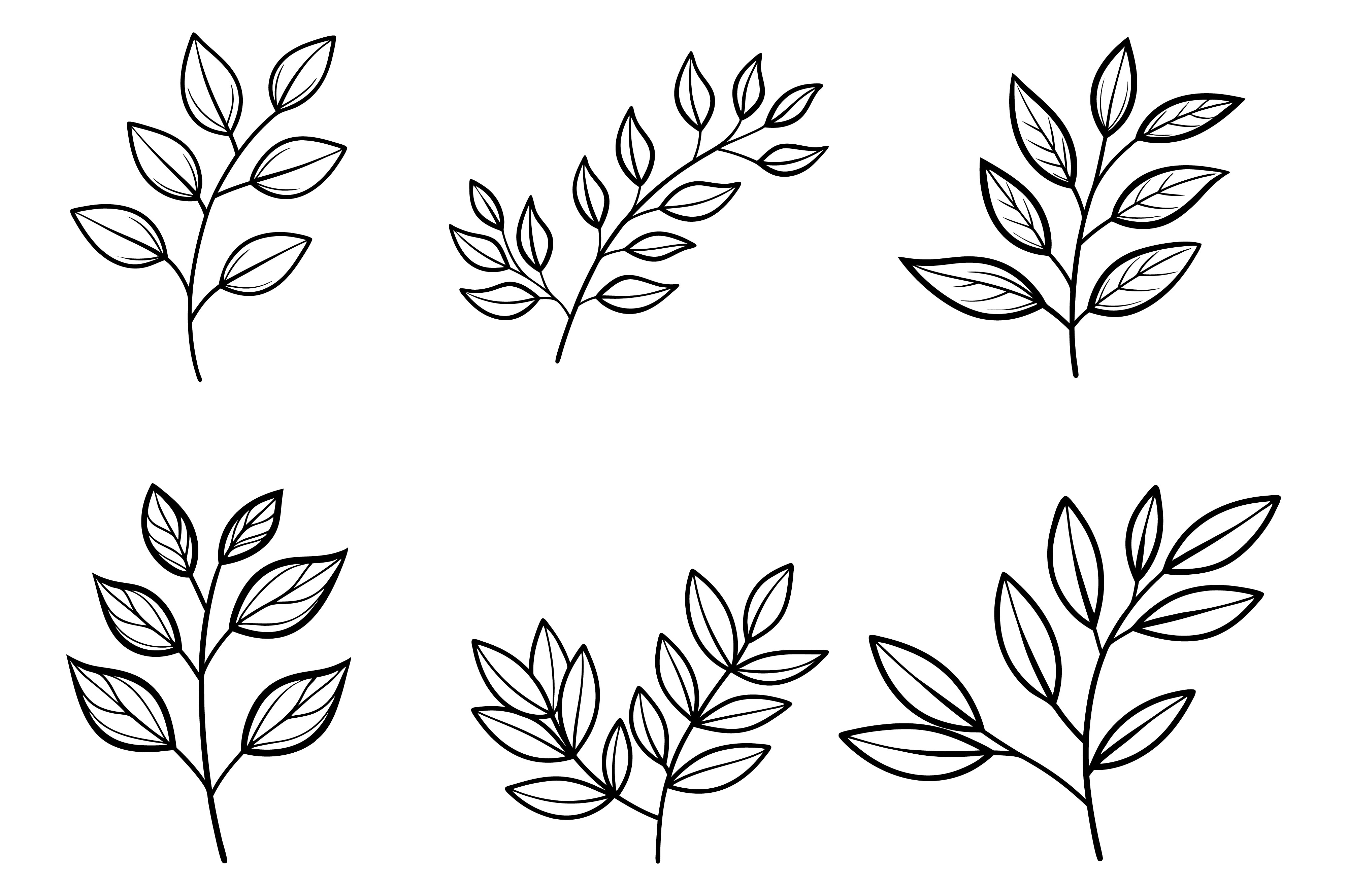 Minimalist Botanical Line Drawing