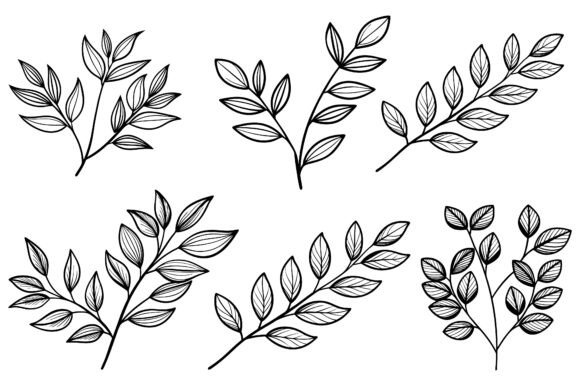 Minimalist Botanical Line Drawing