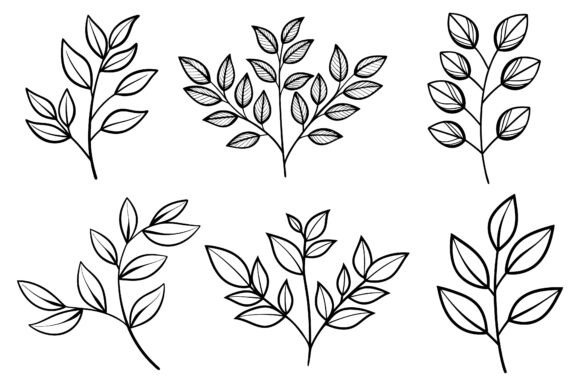 Minimalist Botanical Line Drawing