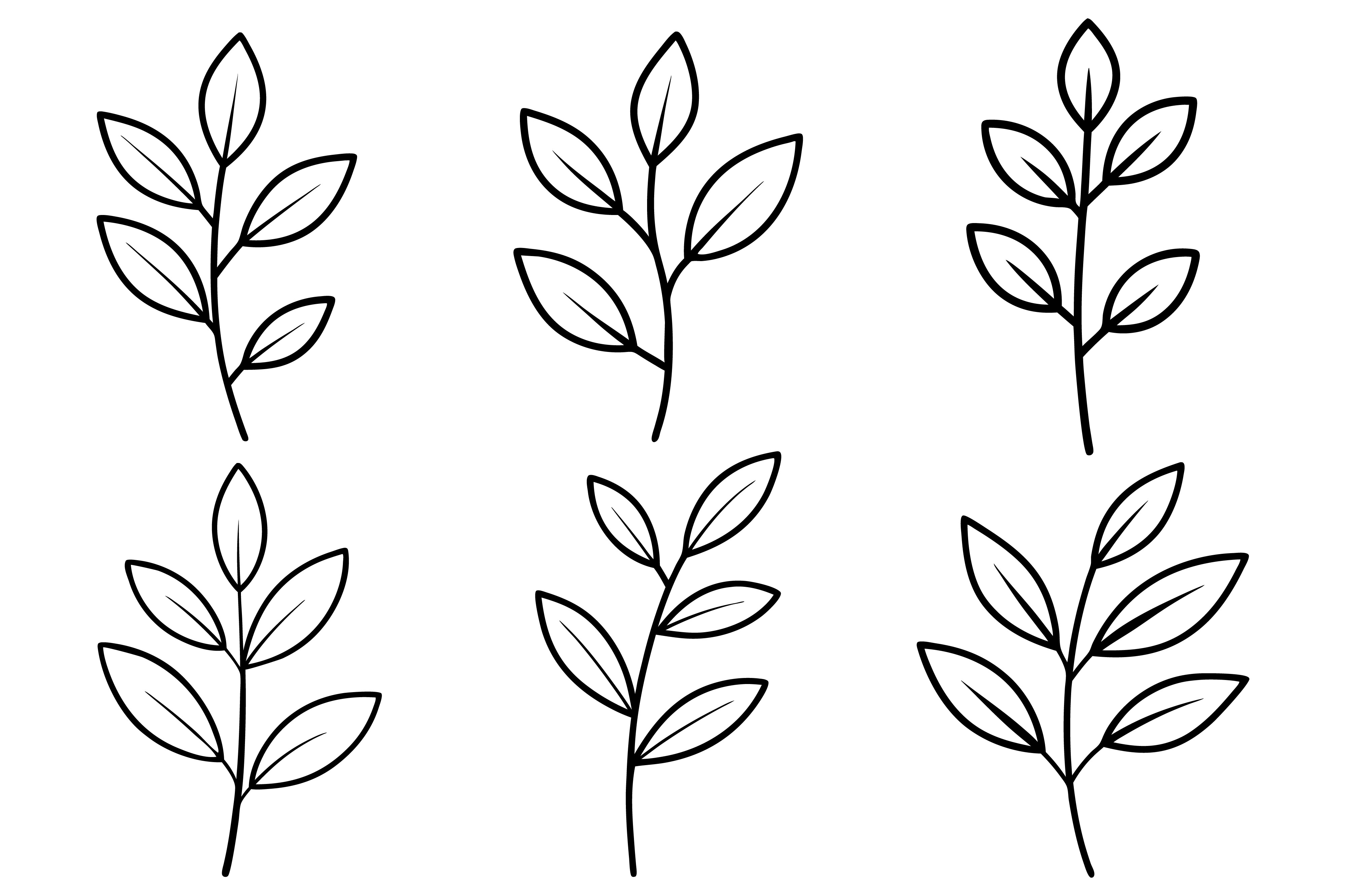 Minimalist Botanical Line Drawing