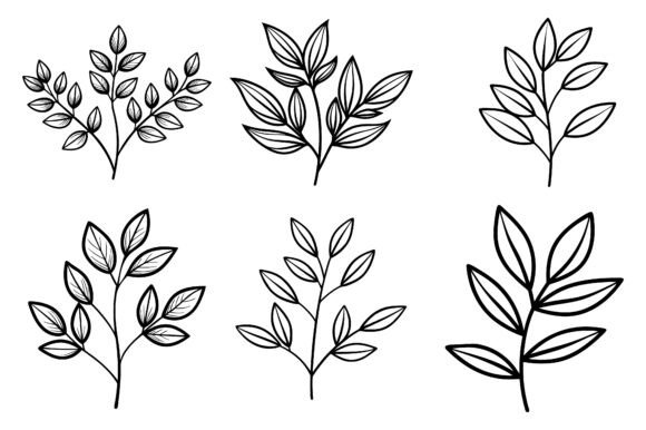 Minimalist Botanical Line Drawing