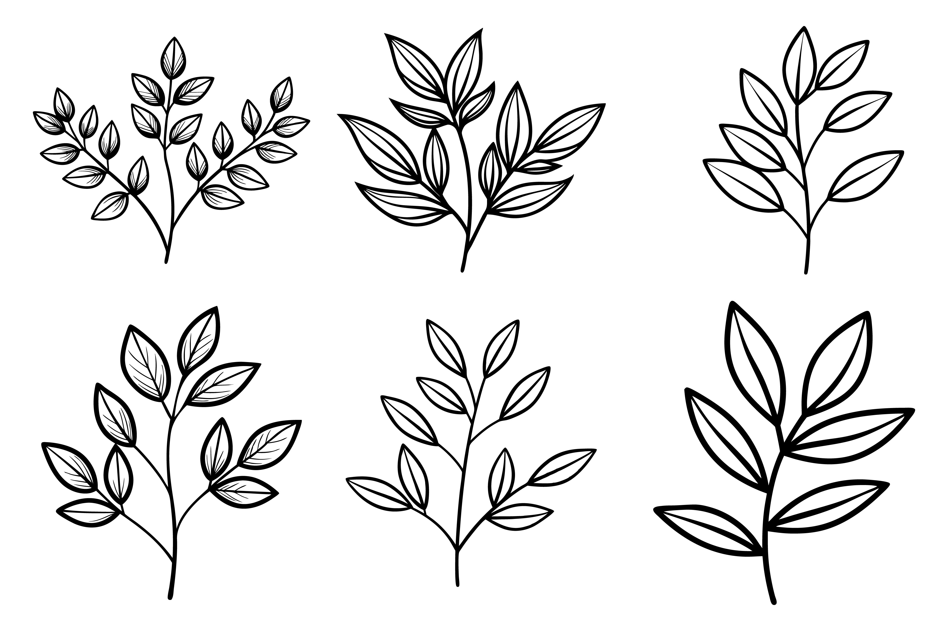 Minimalist Botanical Line Drawing