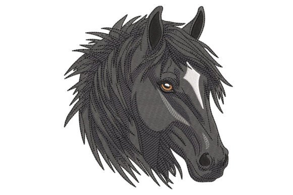 Wild Mustang Horse