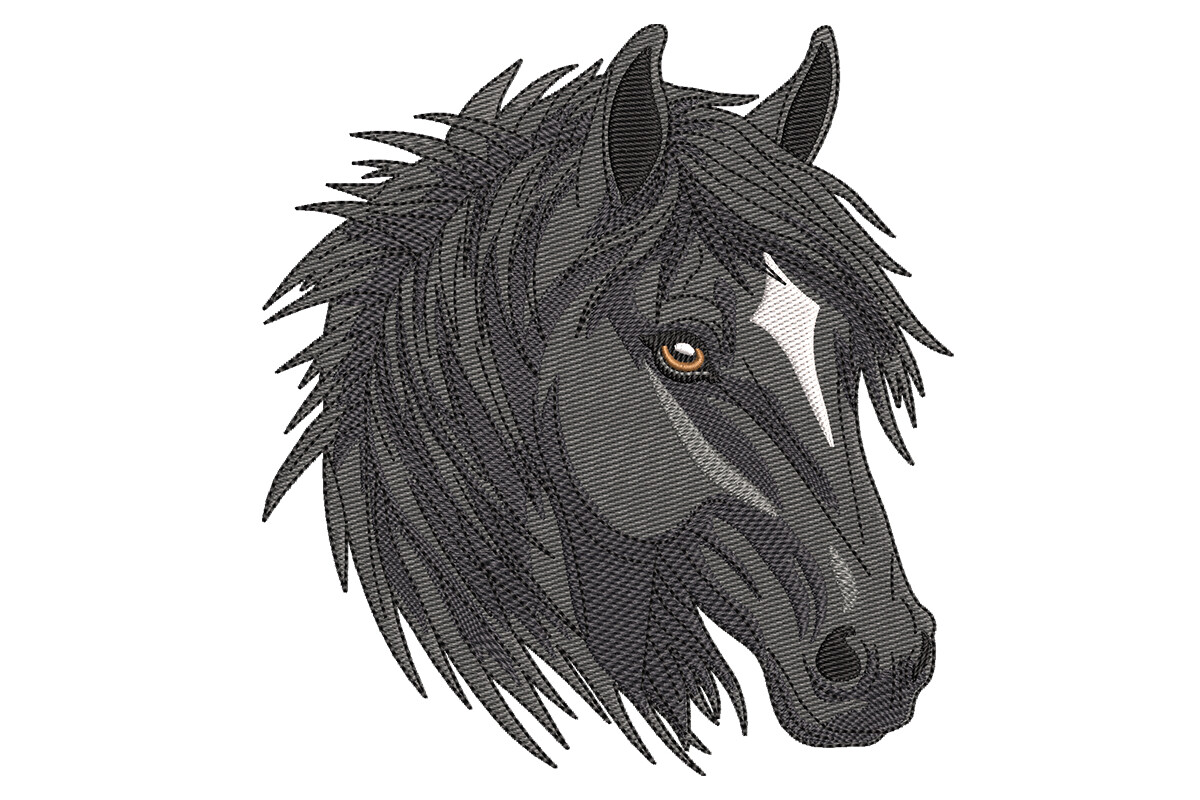 Wild Mustang Horse