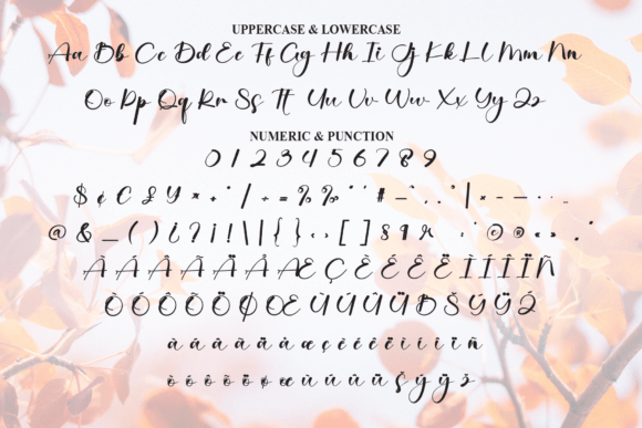 Autumn Font - Preview 6