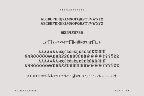 Binina Font - Preview 3