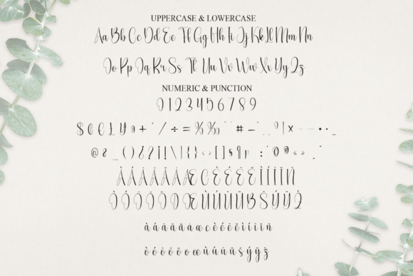 Bounty Font - Preview 6