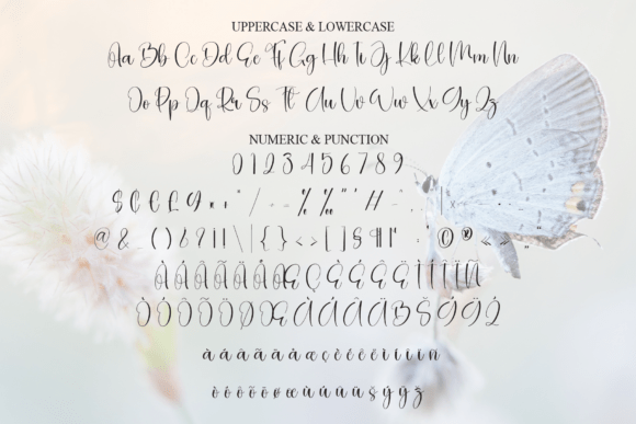 Butterfly Font - Preview 6