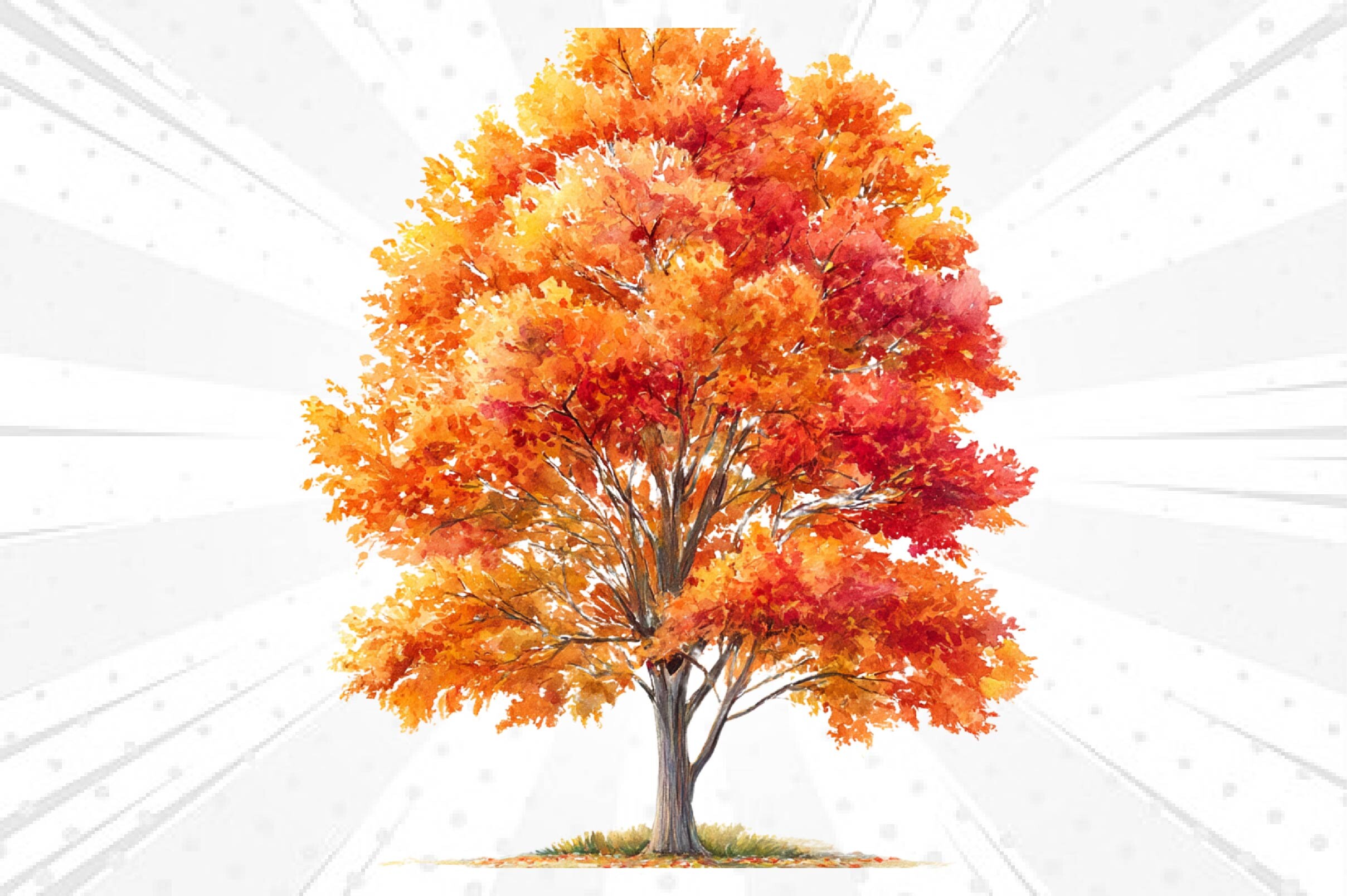 Watercolor Autumn Tree Clipart Graphic by bundle queen · Creative Fabrica