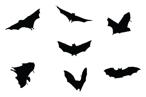 Bat Vector Graphic Design Graphic by chinc1931 · Creative Fabrica