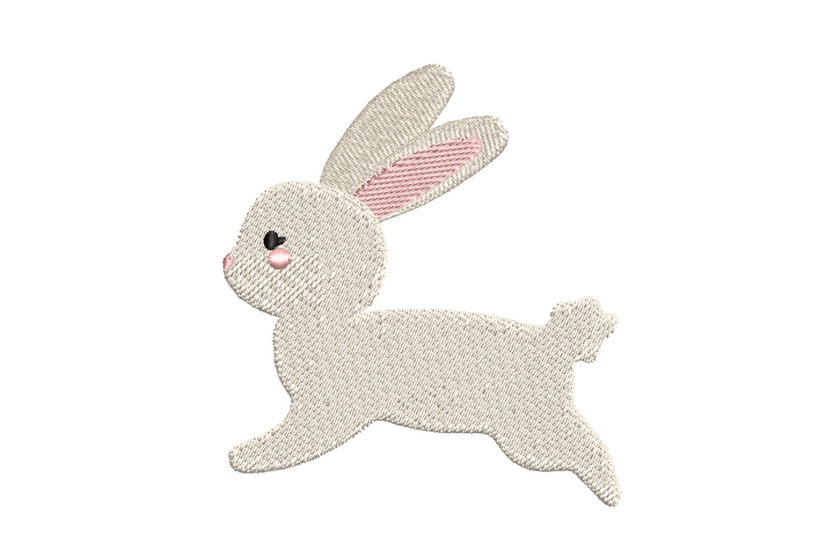 Cute Jumping Bunny Rabbit