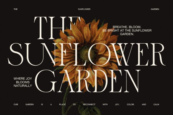Marune Font PNG with transparent background - Preview 1