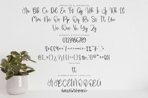 Auntie Font - Preview 5