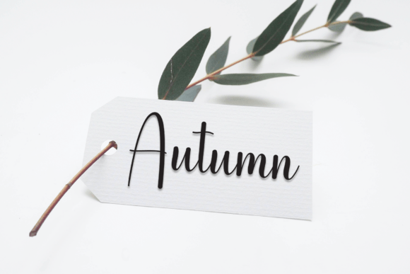 Bunny Font - Preview 4