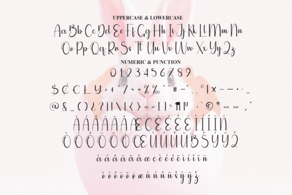 Bunny Font - Preview 6