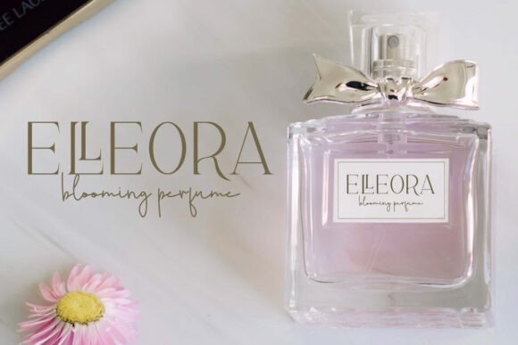 Elleora Flow Font - Preview 3