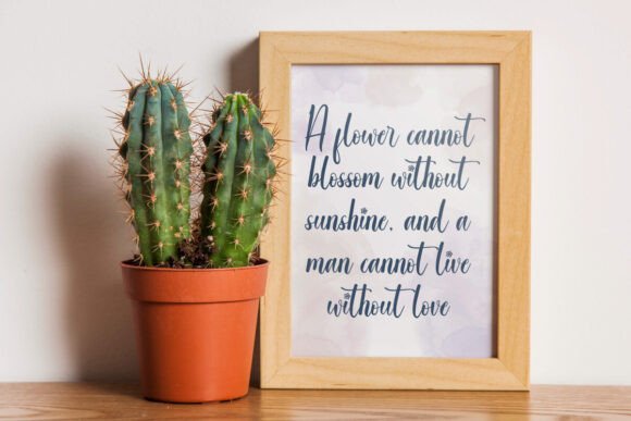 Evening Flower Font - Preview 4