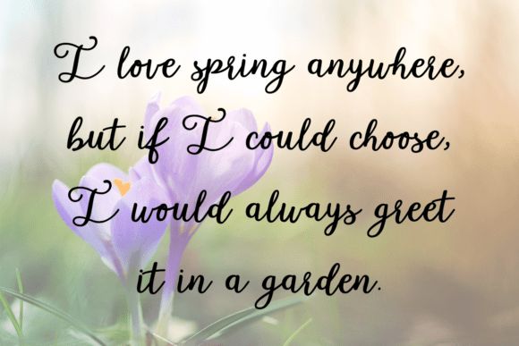 Garden Whimsy Font - Preview 2