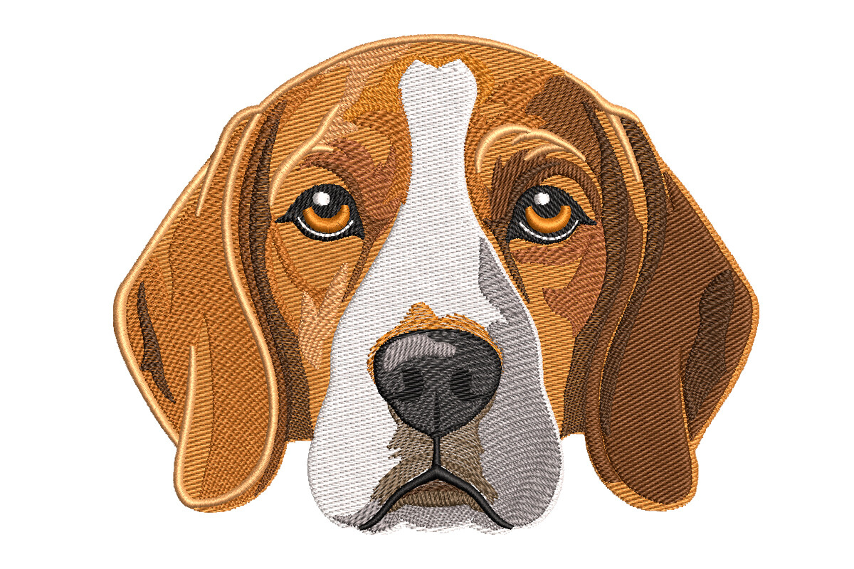 Beagle Dog Head