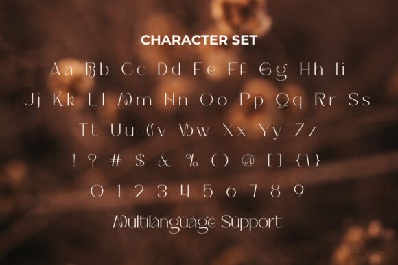 Dark Beige Font - Preview 4