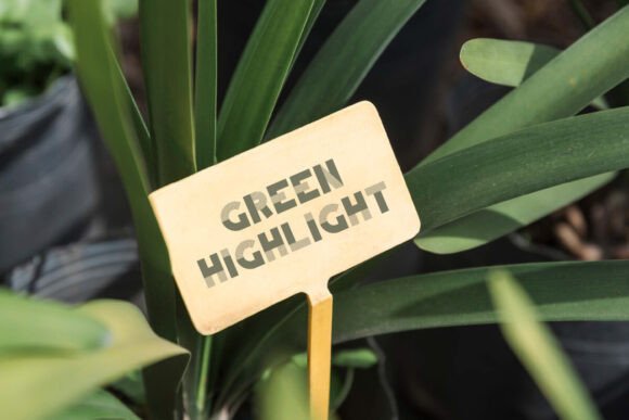 Green Highlight Font - Preview 3