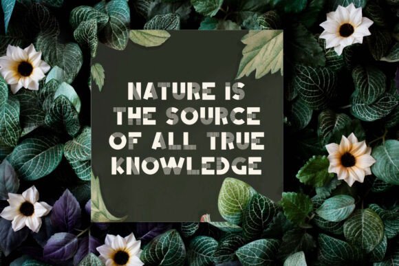 Green Highlight Font - Preview 5