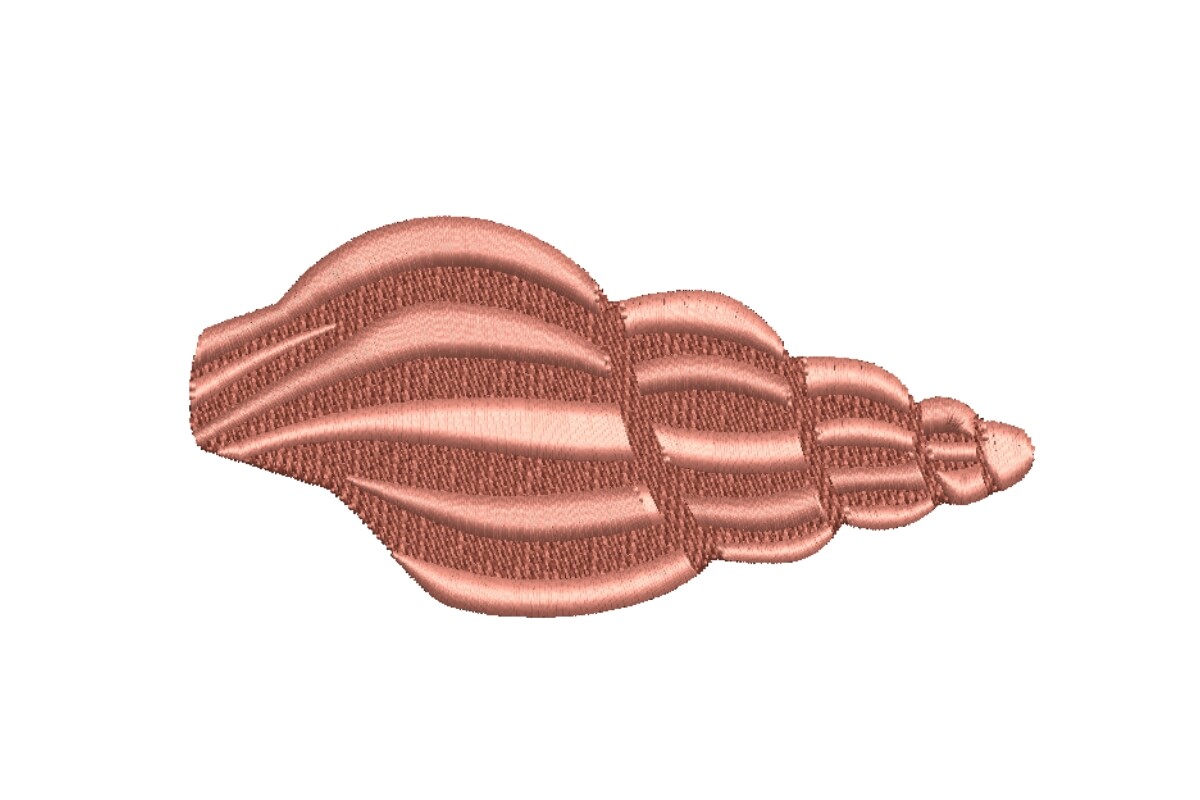 Pink Auger Seashell