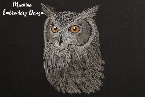 Realistic Owl Face