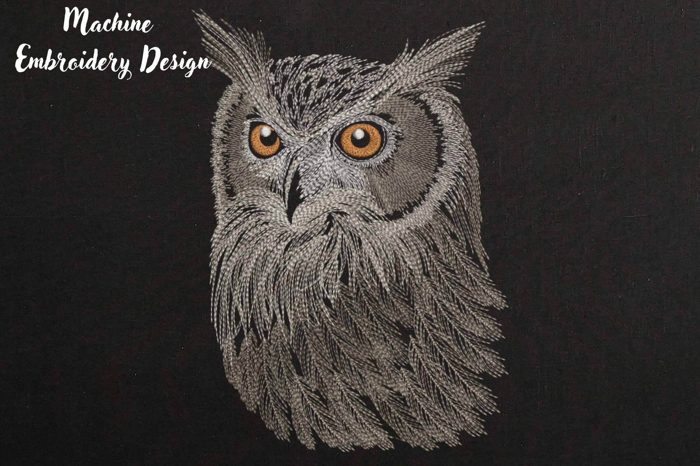 Realistic Owl Face