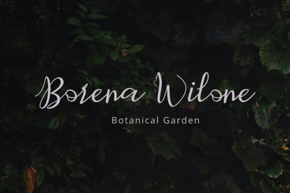 Retafia Font PNG with transparent background - Preview 3