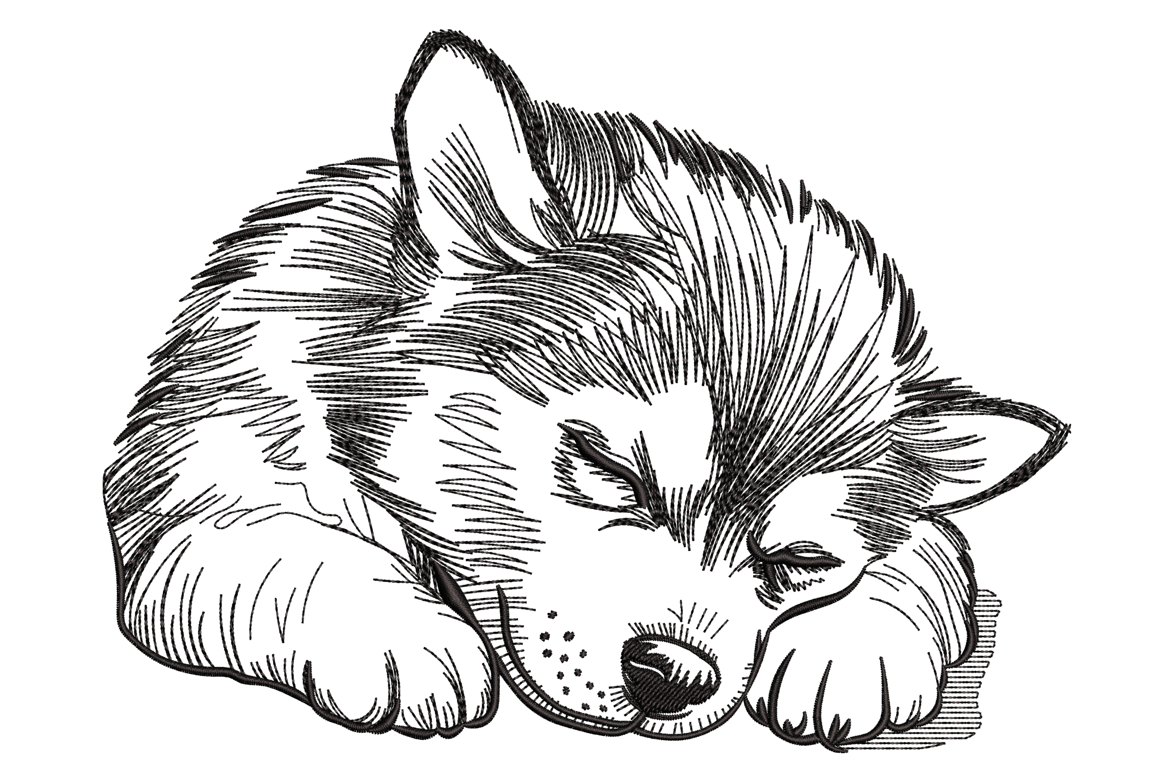 Sleeping Puppy Sketch