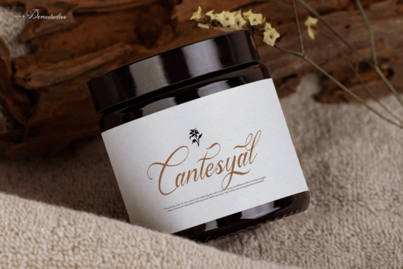 Anelyas Font - Preview 6