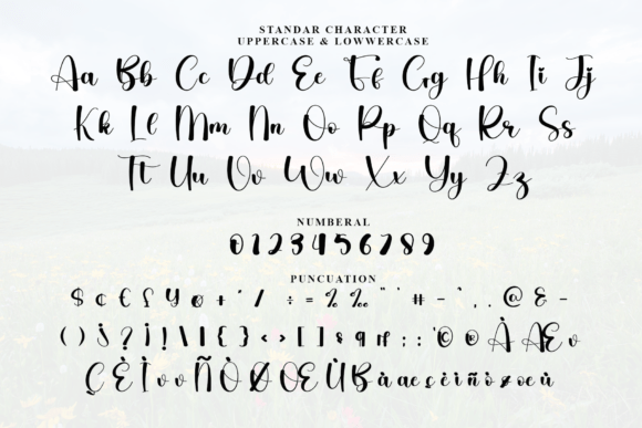 Beautiful Font - Preview 3