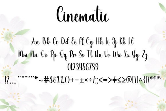 Cinematic Font - Preview 4