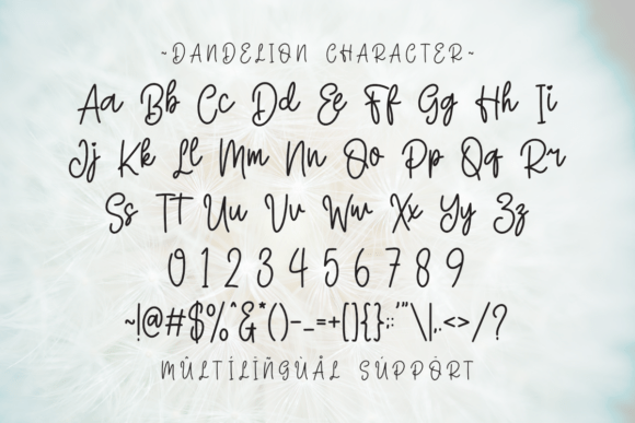 Dandelion Font - Preview 5