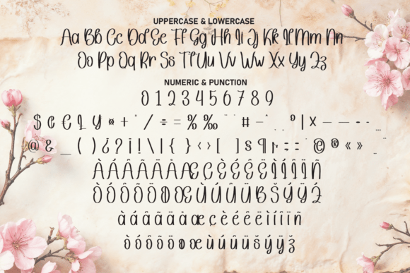 Pinky History Font PNG with transparent background - Preview 6