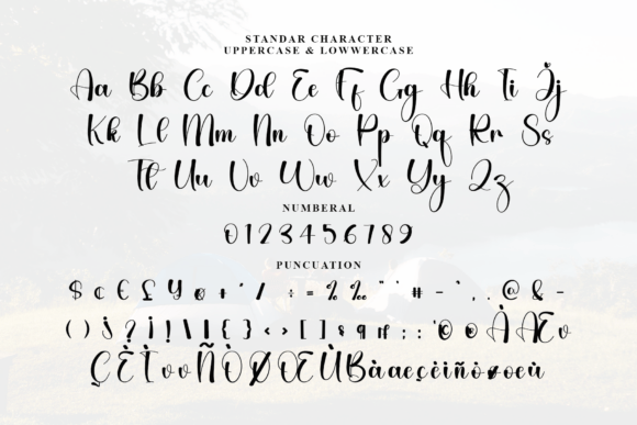 Camping Font - Preview 3