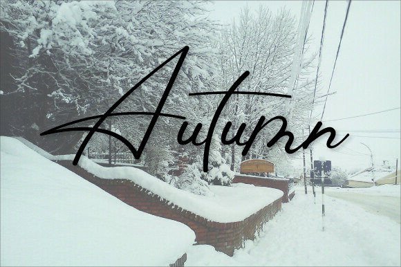 Magnolias Font font preview - 3