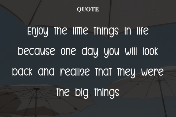 Elegant Designer Font font preview - 4