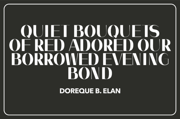 Noir Font font preview - 1