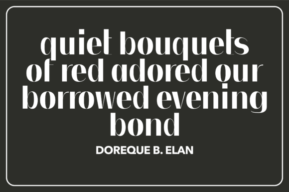 Noir Font font preview - 4
