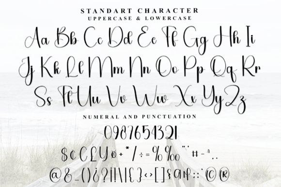 Beautiful Font - Preview 5
