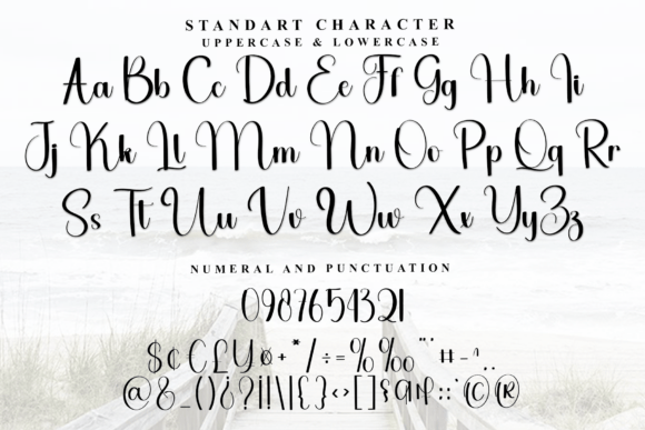 Britany Font - Preview 3