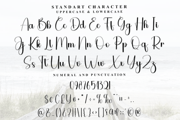 Daily Date Font - Preview 2