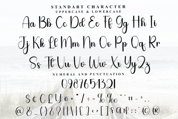 Flamingo Font - Preview 5