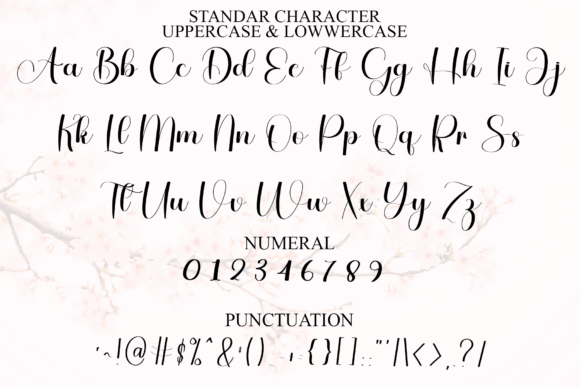 Alphabet Signature Font - Preview 2